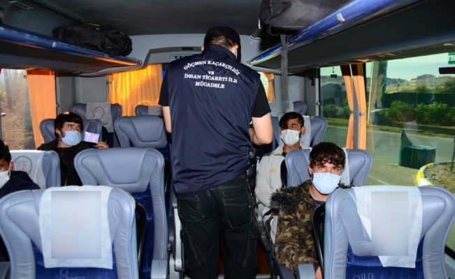 Kocaeli'de 7 düzensiz göçmen yakalandı