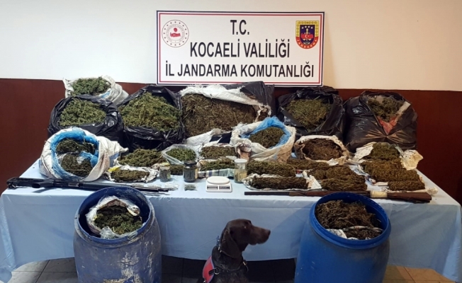 Kocaeli'de bir evde 61 kilogram esrar ele geçirildi