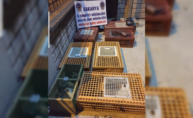 Kümes hayvanlarının bulunduğu kamyoneti çalan zanlılar İstanbul'da yakalandı