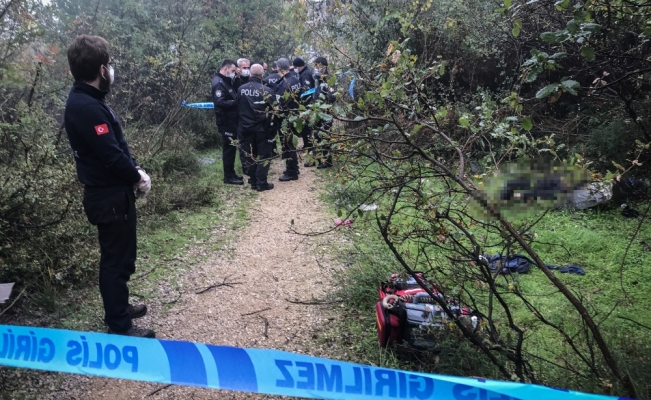 Bursa'da ormanlık alanda erkek cesedi bulundu