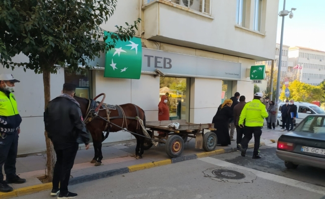 Edirne'de at arabasını kaldırıma bırakan kişiye para cezası uygulandı