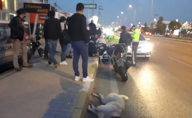 Köpeğe çarpan motosikletli ağır yaralandı