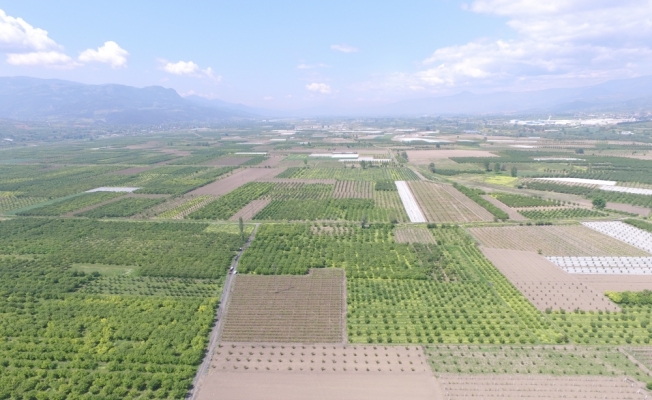 Sakarya'da sulanan tarım arazileriyle ekonomiye 375 milyon lira katkı sağlandı