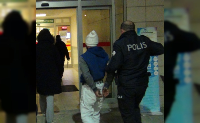 Bursa'da kısıtlamaya uymayan ve polislere saldıran iki kardeş gözaltına alındı