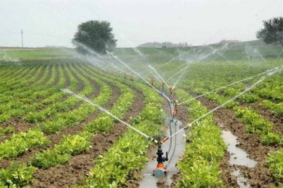 Edirne'de 78 bin dekar tarım arazisi daha modern sulama sistemine kavuşuyor