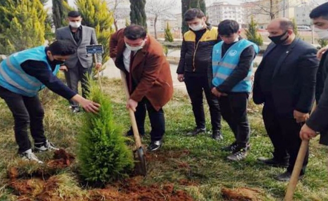 Kilis Ülkü Ocakları, şehit Çakıroğlu anısına fidan dikti