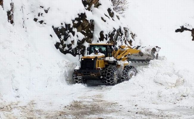 Siirt'te kar dolayısıyla 21 köye ulaşım sağlanamıyor