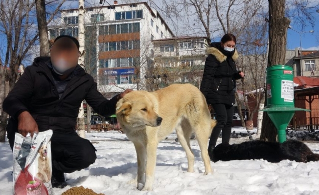 Ardahan'da sokak hayvanlarını besledi, yargılanmaktan kurtuldu!