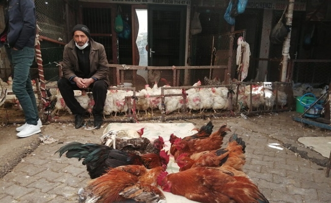 Diyarbakır'da esnafın 'kanadı' kırıldı (ÖZEL HABER)