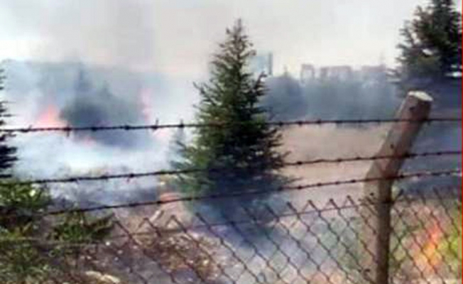 Ankara Atatürk Orman Çiftliği’nde yangın