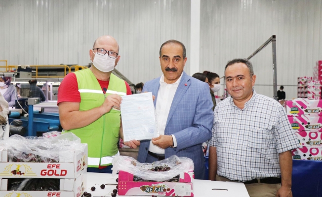 İzmir Kemalpaşa’da kiraz ihracatına inspektör desteği