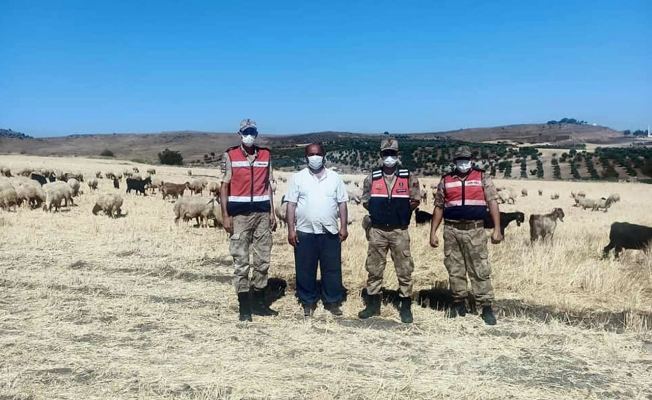 Kilis’te kayıp çoban ve hayvanları JASAT buldu
