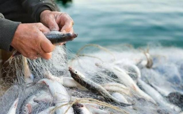 Balıkçılıkta av yasağı bitiyor