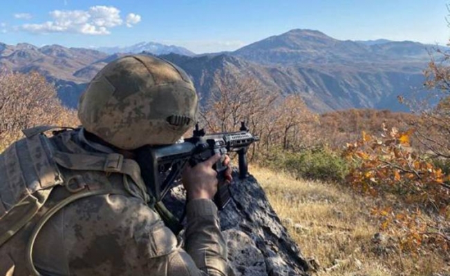 Eren-2'de 2 PKK'lı etkisiz halde