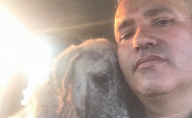 Aksaray'da zehirlenen köpeği kurtardı 