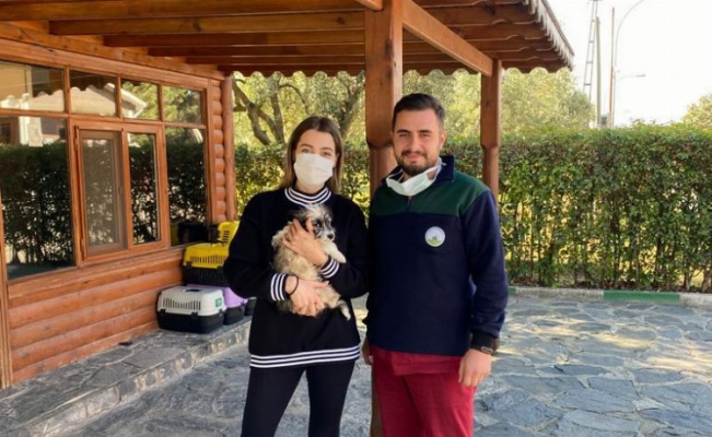 Bursa'da Osmangazi Sahipsiz Hayvanlar Doğal Yaşam ve Tedavi Merkezi hizmet vermeye devam ediyor 