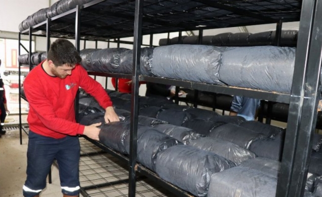 İzmit Belediyesi, istiridye mantarında ikinci seri üretime başladı