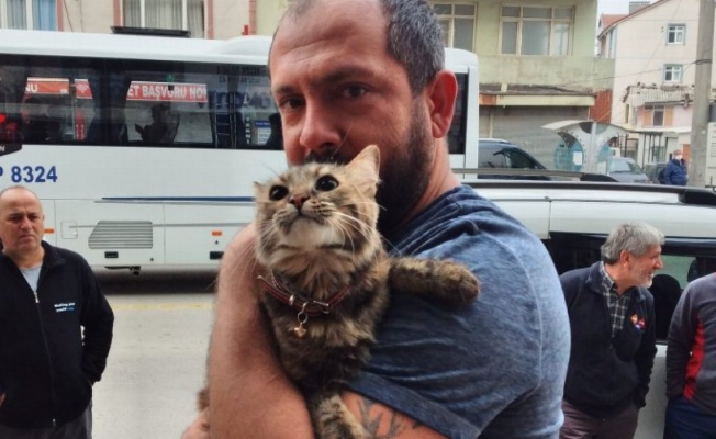 Duvara sıkışan kediyi Kocaeli Büyükşehir İtfaiyesi kurtardı