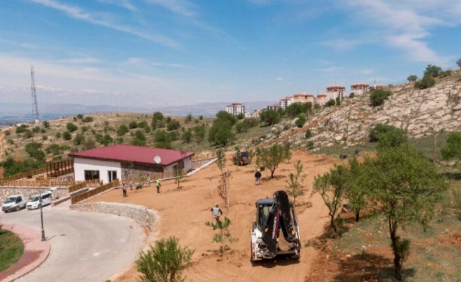 Malatya Beydağı Tabiat Parkı ağaçlandırılıyor