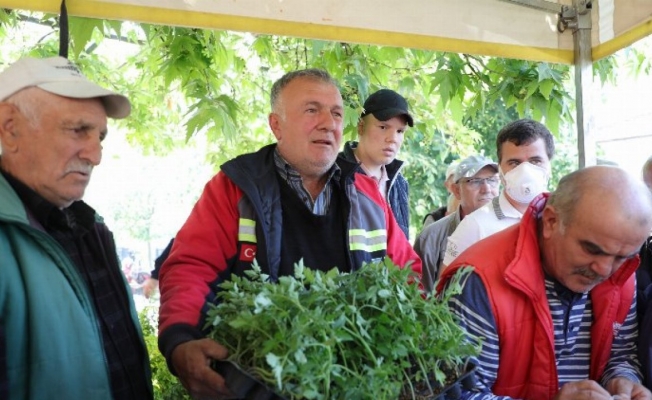 Bursa Gemlik'te Ata tohumları hayata dönüşüyor