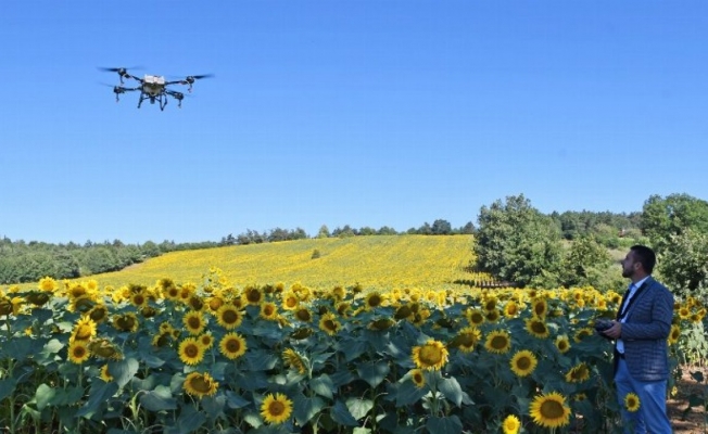 Bursa Kestel’de 'çayır tırtılı'na drone önlemi