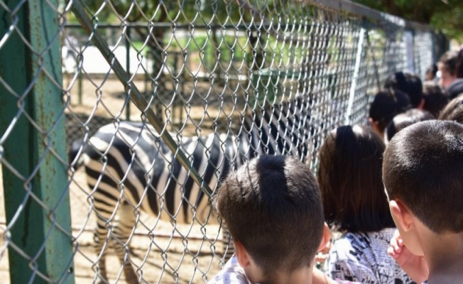 Malatya'da yaz okulu öğrencilerinden Hayvanat Bahçesi ziyareti