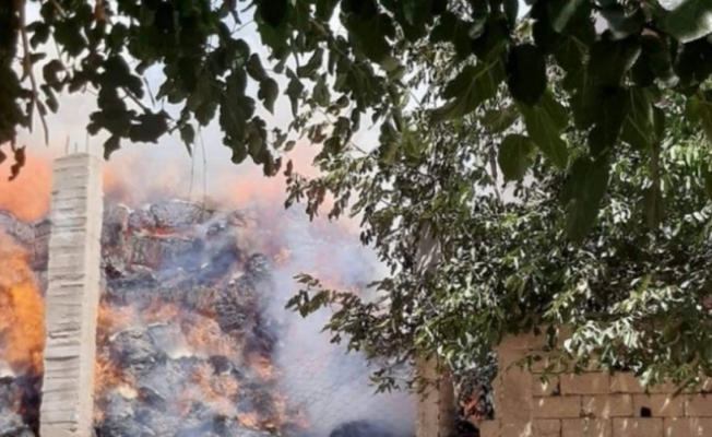 Antalya Elmalı'da samanlık ve ahır yandı