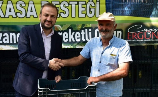 Manisa Turgutlu'da üreticilere zeytin kasası desteği