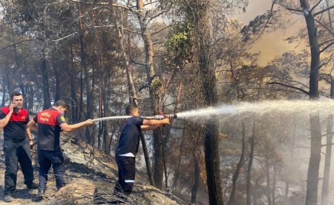 Muğla Büyükşehir, Marmaris yangınına seferber oldu
