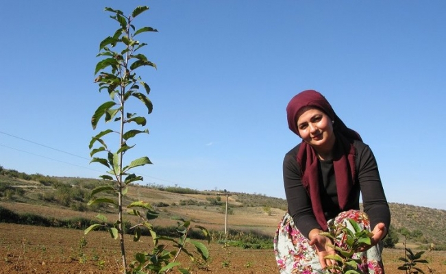 Bursa Yenişehir tarımına alternatif ürün arayışları