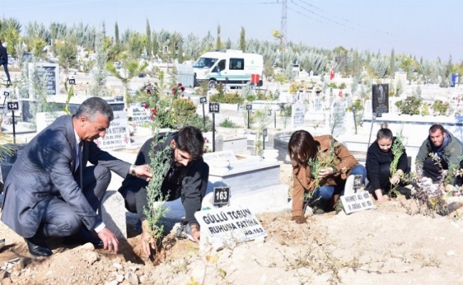Malatya'da şehir mezarlığına fidan dikildi