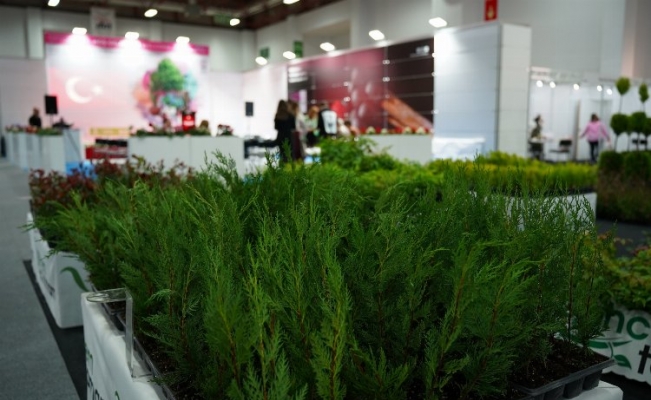 Türkiye, dünya süs bitkileri pazarında söz sahibi oluyor!