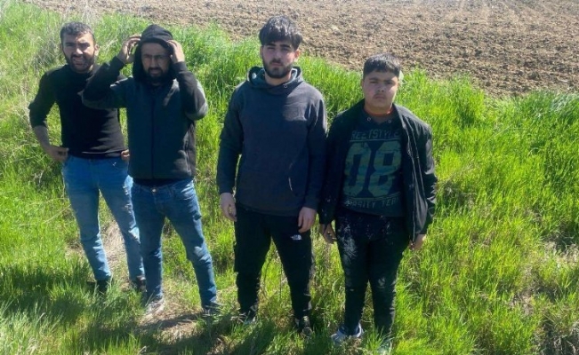 Edirne'de 4 göçmen yakalandı!