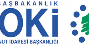 TOKİ'nin Silivri Konutları'na başvuru için son gün 29 Haziran