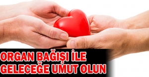 Bursa'da organ bağışında rekor beklentisi