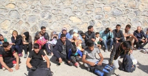 208 düzensiz göçmen yakalandı