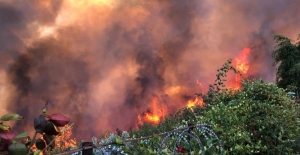 Bursa Cumhuriyet Başsavcılığı, Mudanya ilçesi Göynüklü ve Çağrışan mevkisinde çıkan orman yangınıyla ilgili soruşturma başlattı
