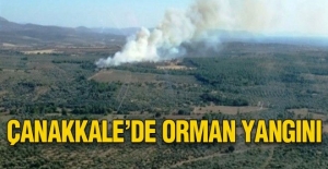 Çanakkale'de orman yangını kontrol altına alındı