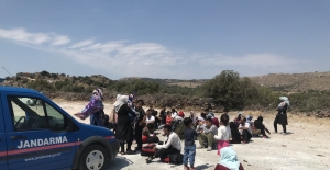 93 düzensiz göçmen yakalandı
