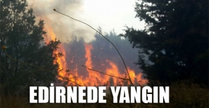 Edirne'de yangın