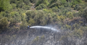 İznik'te makilik alanda yangın