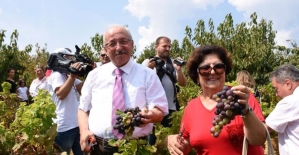 Albayrak Şarköy Bağ Bozumu ve Üzüm Festivali'ne katıldı