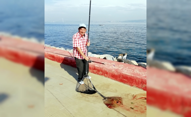 Amatör balıkçının oltasına iğneli vatoz takıldı