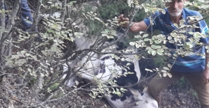Bursa'da çukura düşen inek kurtarıldı
