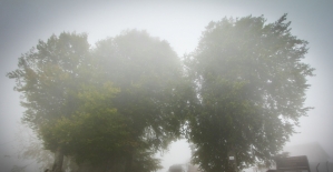 Domaniç Dağı'nda yoğun sis