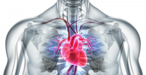 “Her 5 kişiden 2'si kalp ve damar hastalığından ölmektedir“