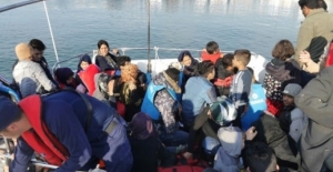 Kırklareli'nde 54 düzensiz göçmen yakalandı