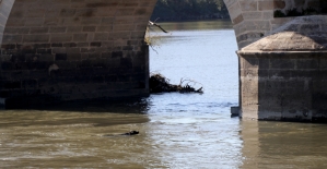 Köprü ayağındaki köpek, AFAD'ı harekete geçirdi