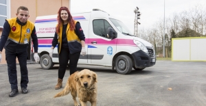 Sokak hayvanlarına özel klinik ve ambulans