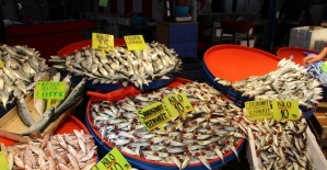 Bandırma halinde balık fiyatları düştü